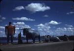 Scenes around Pimushe Lake, Minnesota.  June, 1947.