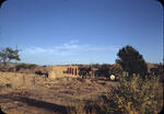 Rio Grande 1