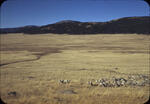 Valle 3