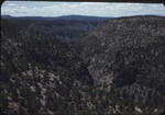 Frijoles Canyon7