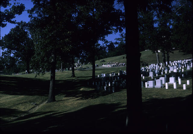 Arlington Cemetary 03