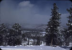 Jemez Mountains 1
