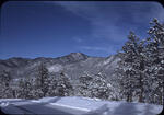 Jemez Mountains 2