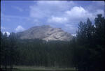 Crazy Horse 02
