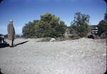 Grand Canyon6