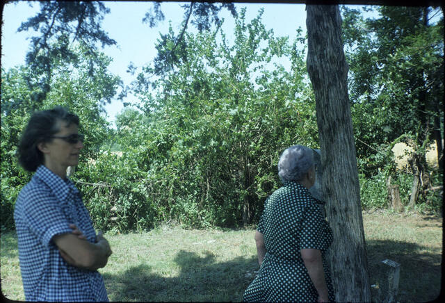 Untitled-05