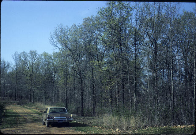 Untitled-14
