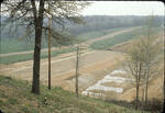 Spring, 1979.