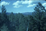 Trip To Arizona III.  May 1980.