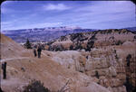 Bryce Canyon.  Memorial Day, 1953 (set #2).