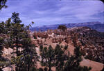 Bryce Canyon 12