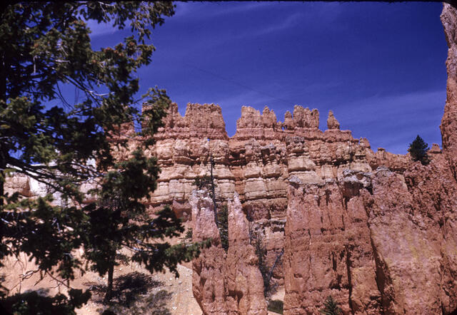 Bryce Canyon 13