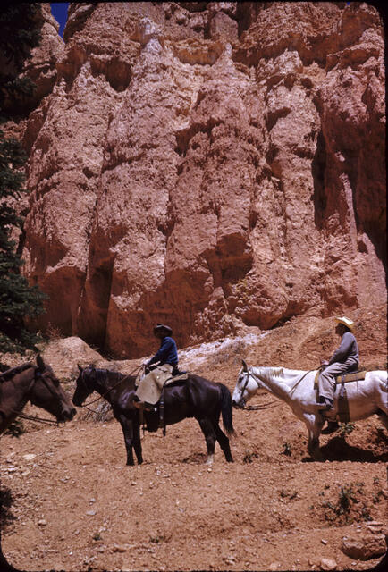 Bryce Canyon 15