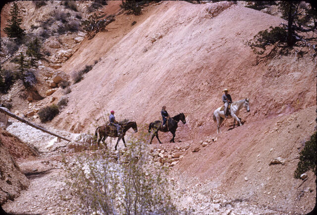 Bryce Canyon 19