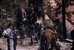 Bryce Canyon 20