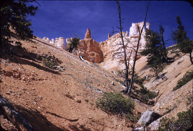 Bryce Canyon 27