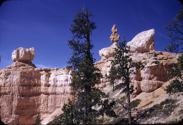 Bryce Canyon 30