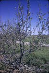 Untitled-13
