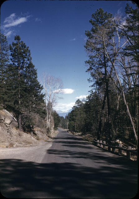 Los Alamos Canyon 1