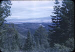 Lumber Road 3