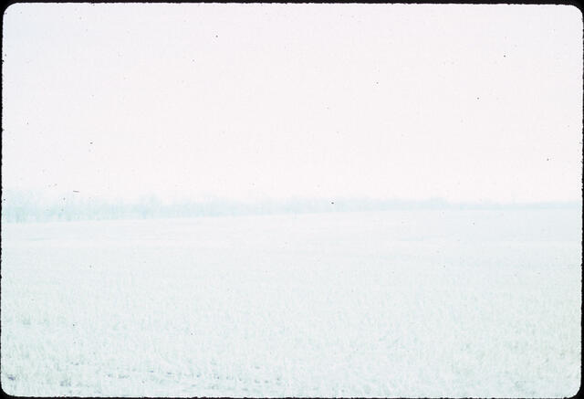 Untitled-25