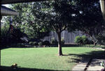 Untitled-23