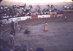 Bullfight Juavez1