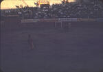 Bullfight Juavez4