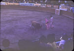 Bullfight Juavez5