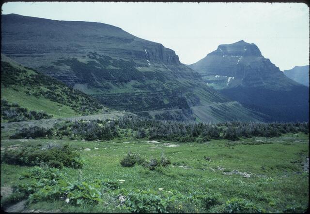 Logan Pass Visitor Center 2