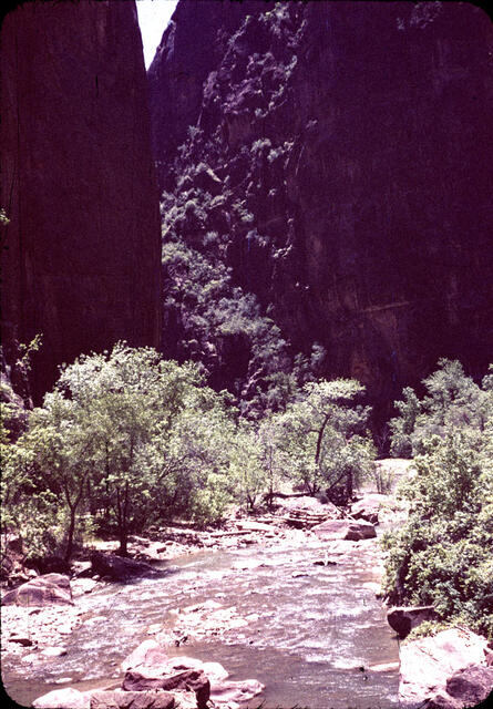 Zion 02