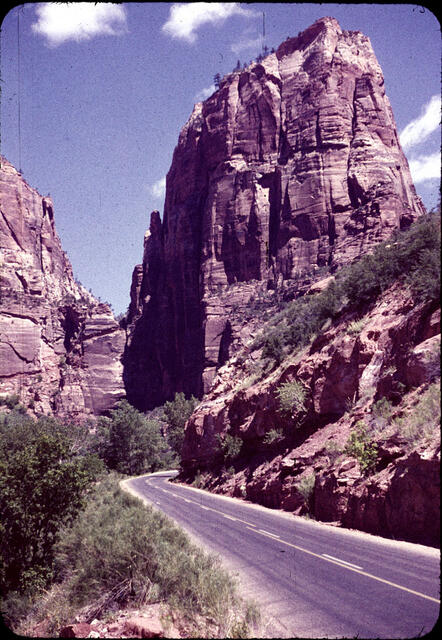 Zion 06