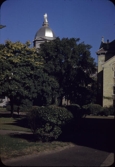 Notre Dame Campus 2