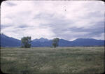 Leadville 01
