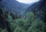 Honeymoon 08
