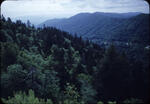 Honeymoon 09
