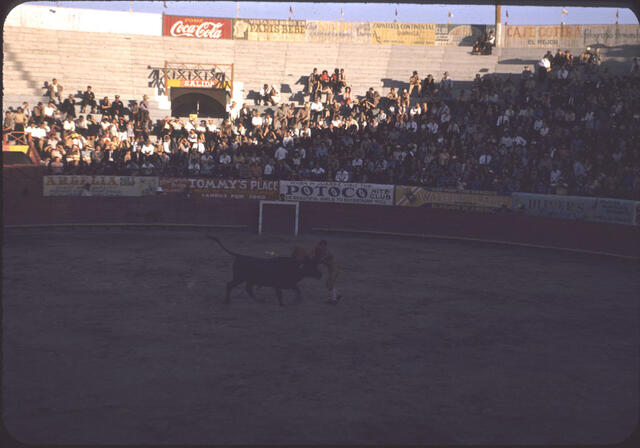 Bullfight 01