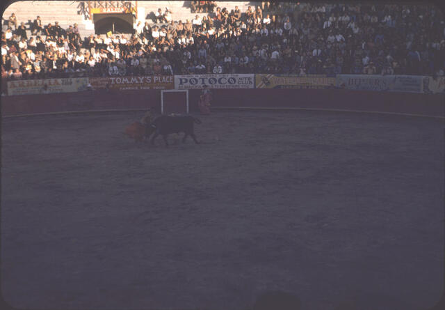 Bullfight 02