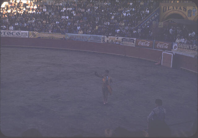 Bullfight 03