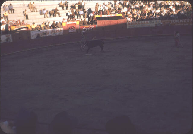 Bullfight 04