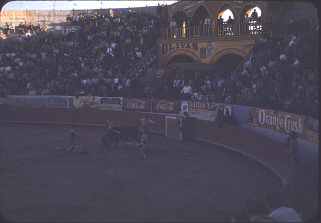 Bullfight 05