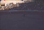 Bullfight 06