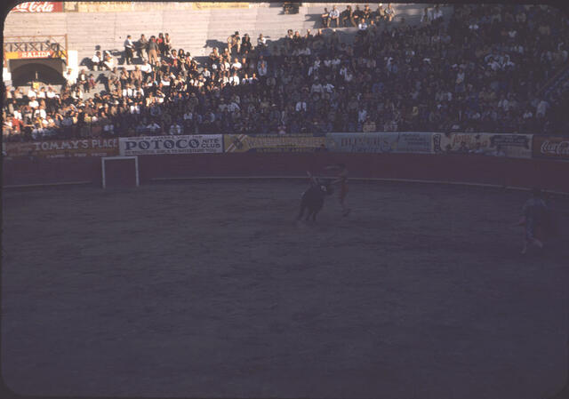 Bullfight 06