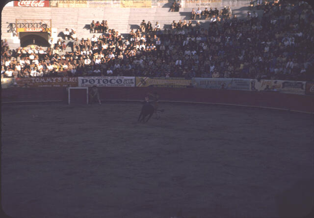 Bullfight 08