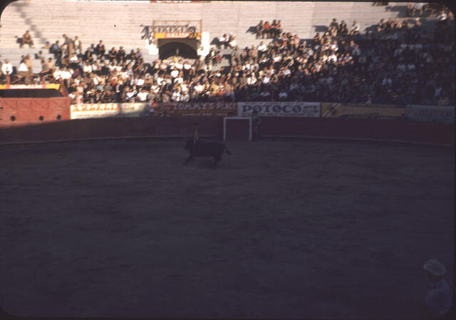 Bullfight 09