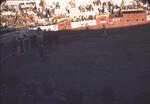 Bullfight 10