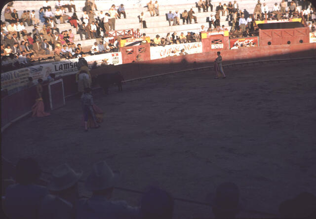 Bullfight 10