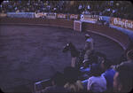 Bullfight 11