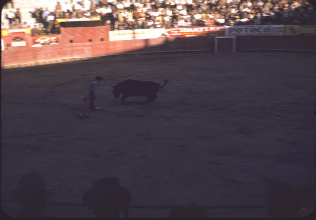 Bullfight 13