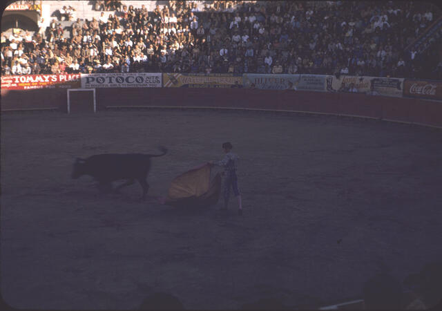 Bullfight 14